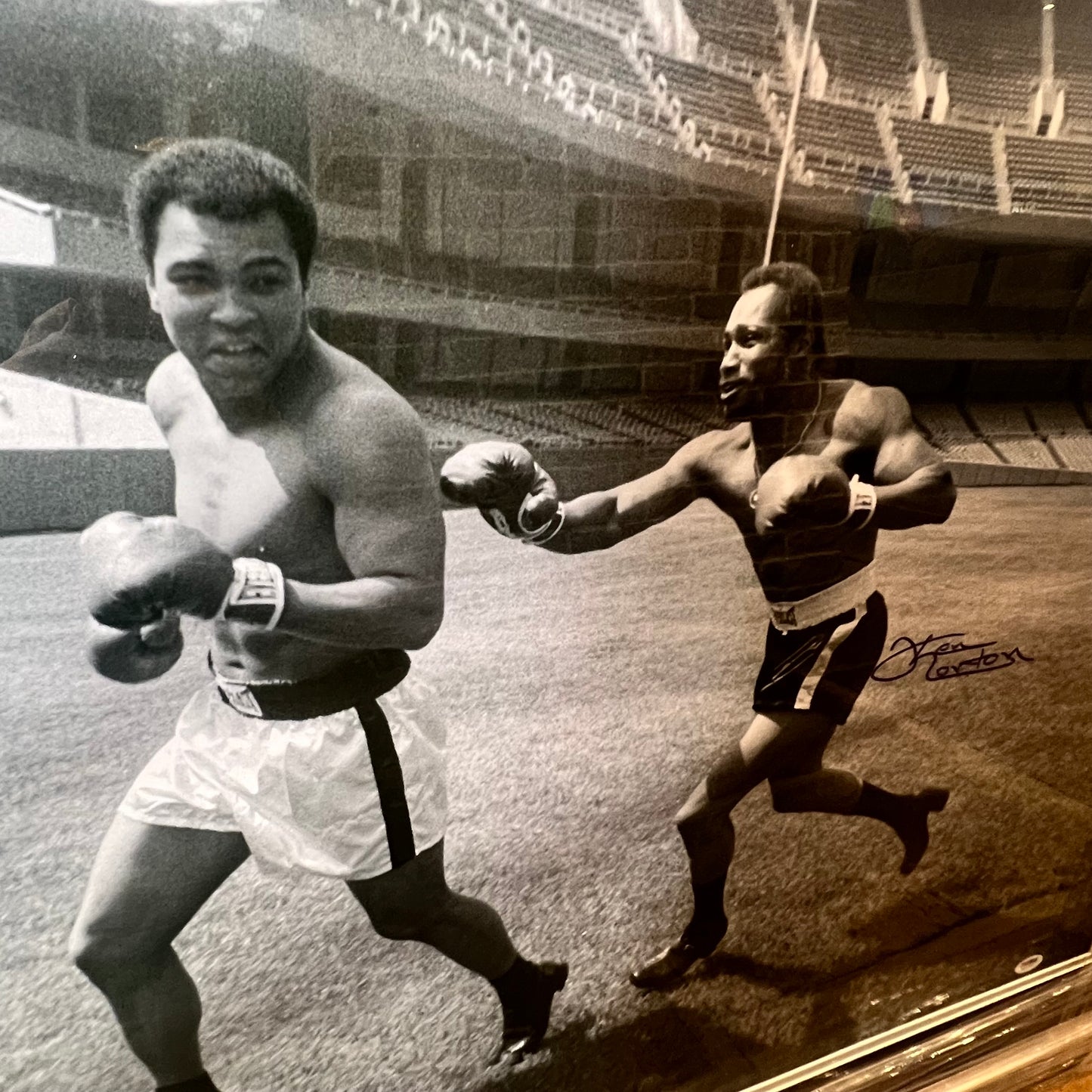 Muhammad Ali And Ken Norton Signed Photo